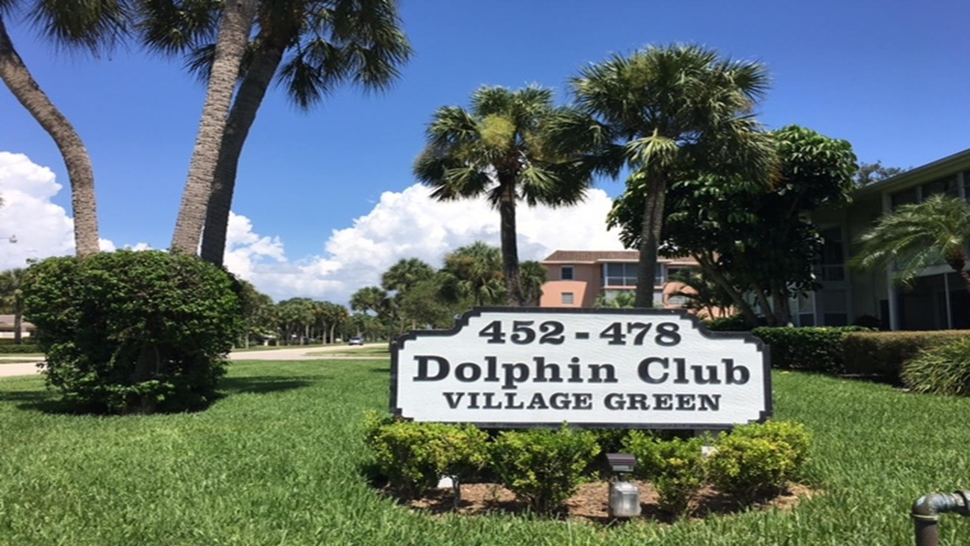 Dolphin club